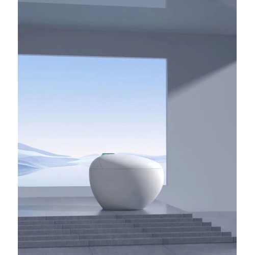 wc japonais aquasphère blanc