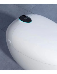 WC JAPONAIS - AQUASPHERE 2
