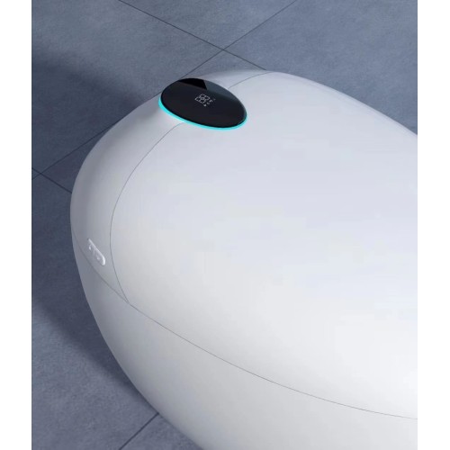 wc japonais aquasphère