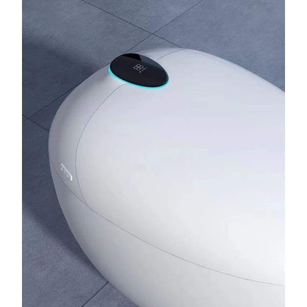 wc japonais aquasphère