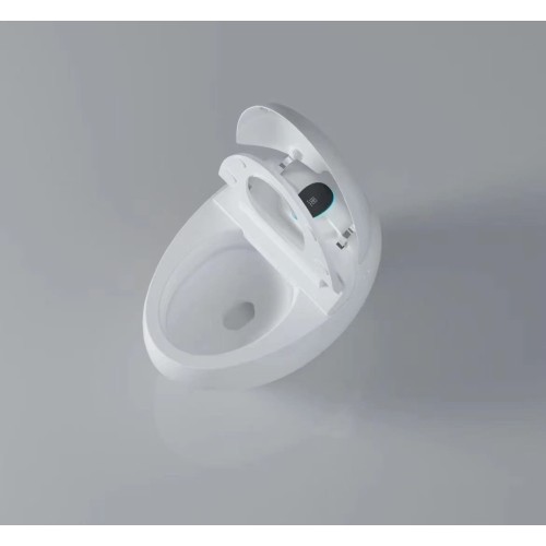 wc japonais aquasphère ouvert