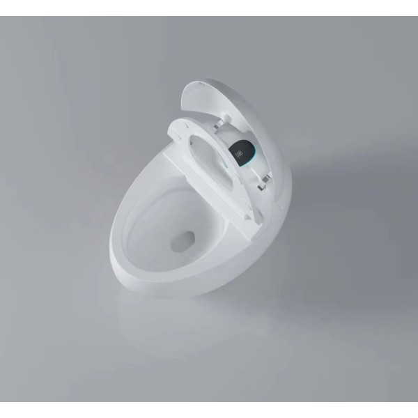 wc japonais aquasphère ouvert