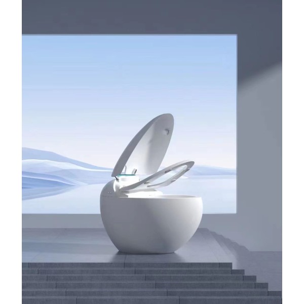 wc japonais aquasphère ouvert