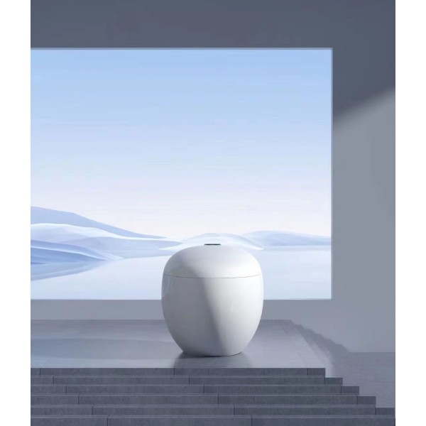 wc japonais aquasphère de face