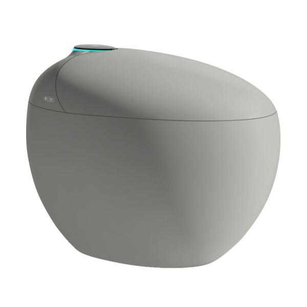 wc japonais aquasphère beige