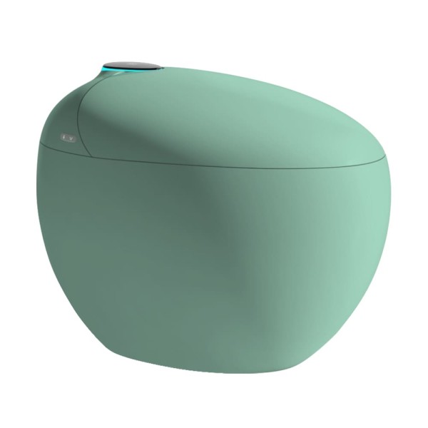 wc japonais aquasphère vert