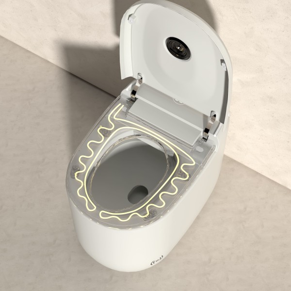 WC JAPONAIS - AQUACUBE