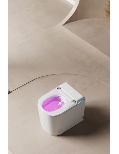 WC JAPONAIS - AQUAPRESTIGE 2