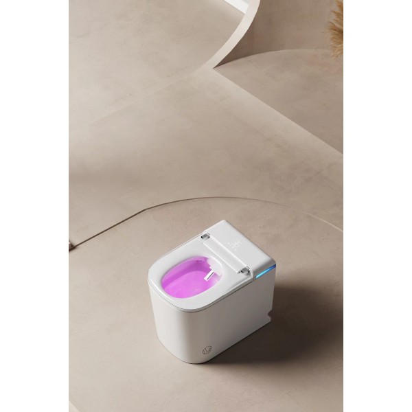 WC JAPONAIS - AQUAPRESTIGE +