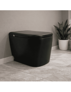 WC JAPONAIS - AQUAPRESTIGE +