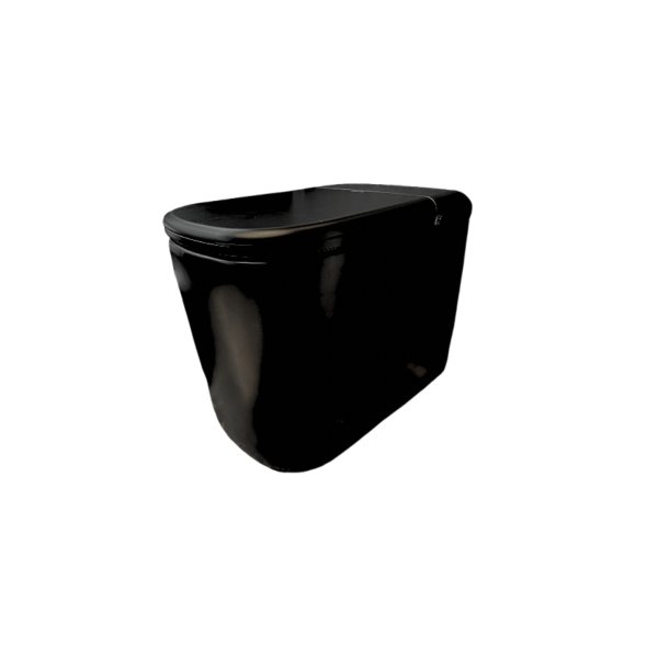 wc japonais aquaprestige+ de côté