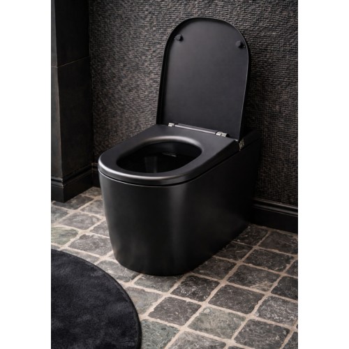 WC JAPONAIS - AQUAPRESTIGE +