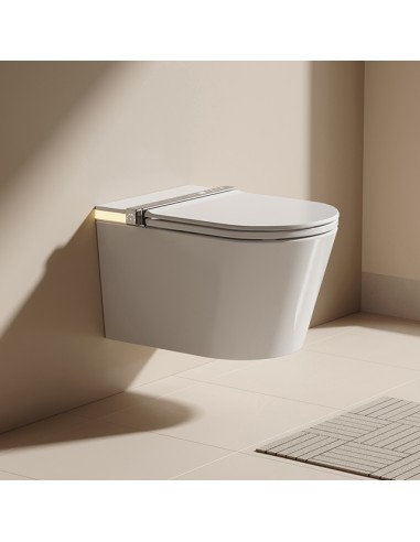 WC JAPONAIS - AUSSIELUX