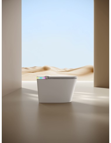 wc japonais neowash vue latérale