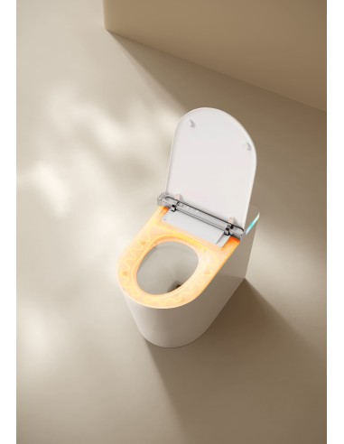 WC JAPONAIS - NEOWASH