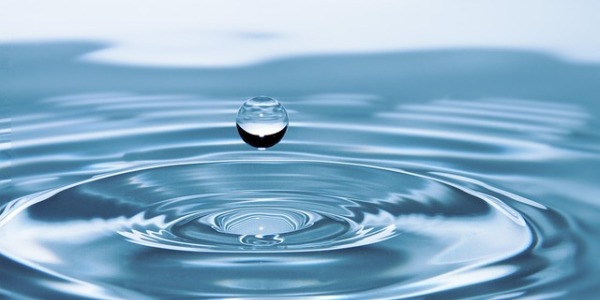 L’eau nettoie, le papier toilette étale : repenser nos habitudes d’hygiène