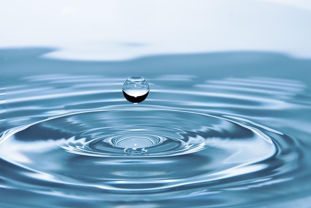 L’eau nettoie, le papier toilette étale : repenser nos habitudes d’hygiène